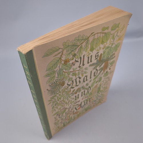 Sammelalbum aus wald und - wald, flur
