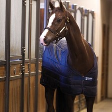 Horseware liner 200g navy - horseware,