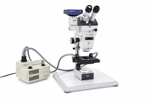 Zeiss stemi sv8 - stemi,