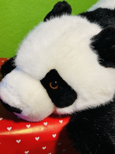 Steiff