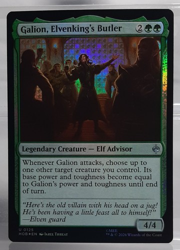 Magic galion elvenking s - magic, galion,
