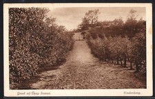 Ansichtskarte laag soeren - ansichtskarte,