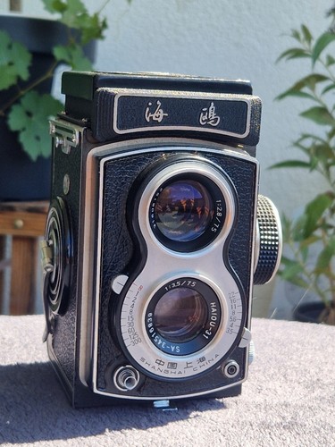 Video seagull 4a tlr twin - [video!],