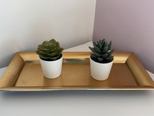 Deko Sukkulente Mit Deko-Schale in Gold