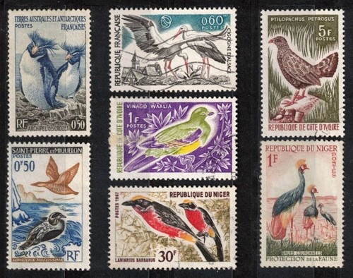 Vögel eine serie von - vögel.,
