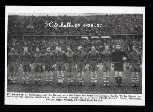 Schalke mannschaftskarte - schalke,