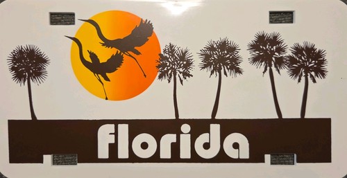 Vintage florida nummernschild - vintage,