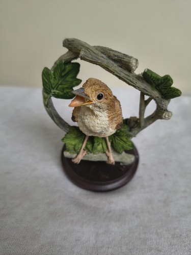 Eaglemoss vogelwelt die - eaglemoss,