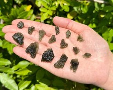 Natural Moldavite Crystals -