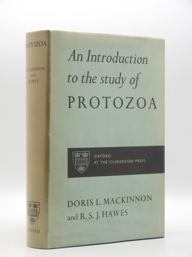 Introduction the study - the,