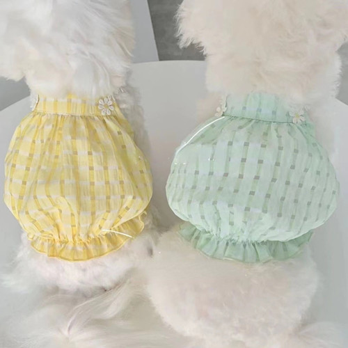Hund katze kleid haustier tuch - katze,