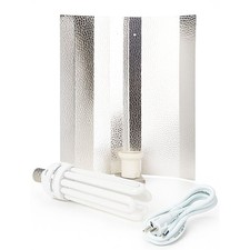 Energiesparlampe wuchs - energiesparlampe,