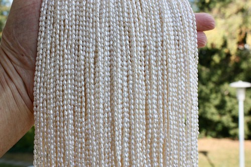 Oval echt zuchtperlen - 2-3,