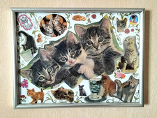 Gerahmtes bild katzen - gerahmtes,