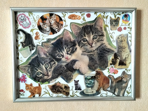 Gerahmtes bild katzen - bild, kitten