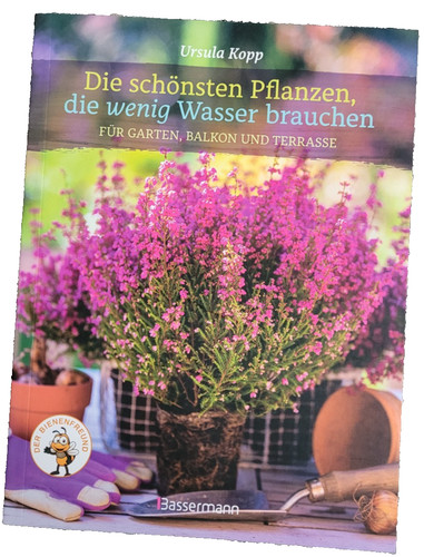 Die schönsten pflanzen wenig - die,