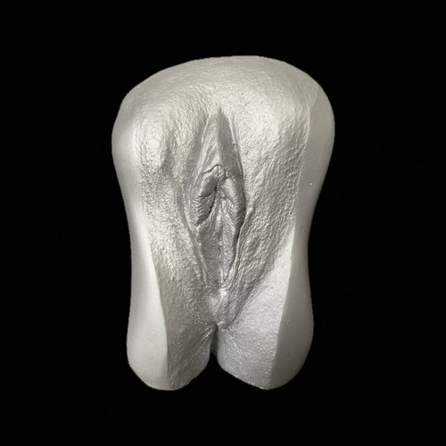 Vagina gipsabdruck original - vagina,