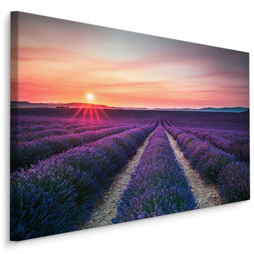 Canvas leinwand bilder xxl - leinwand,