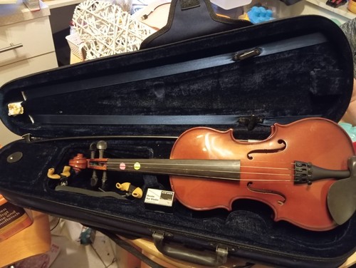 Geige violine gewa - geige/violine,