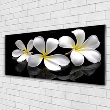 Glasbilder Wandbild Druck auf