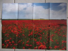 Puzzle 1000 Teile Motiv