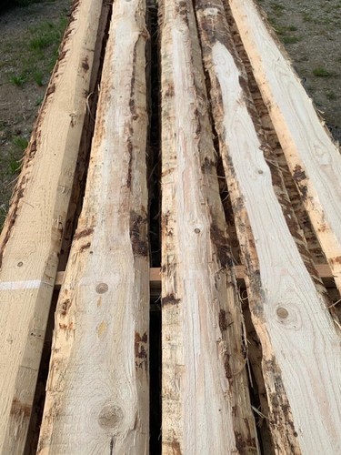 Bohlen bretter holz unbesäumt - holz,