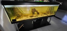 Aquarium 720 Liter komplett mit Unterschrank,2 Außenfiltern,Deko und Fischen