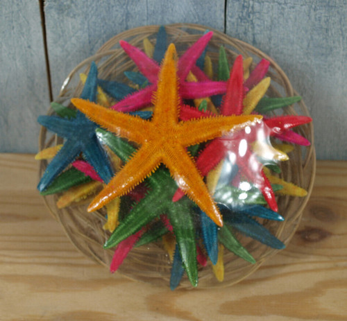 Bunte seesterne korb 20 - seesterne,