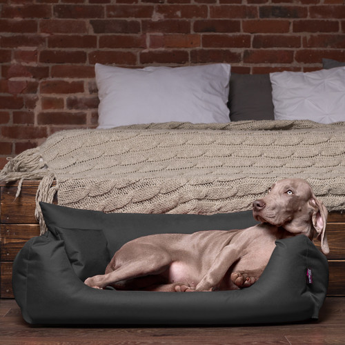 Tierlando nemo hundebett - tierlando®,