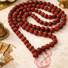 Mala rudraksha shiva - mala,