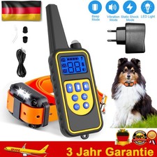 3000FT Hundetraining