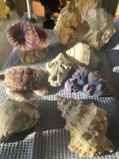 Aquarium Deko Gebraucht. Die