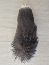  Fuchsschweif / Fuchsschwanz