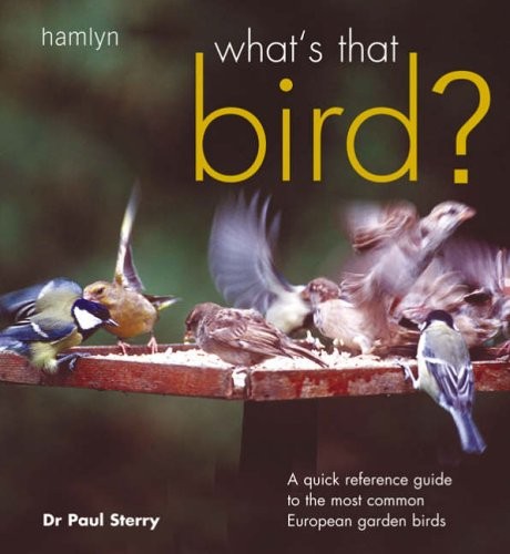 What that bird quick - what's, bird?: