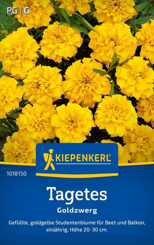 Tagetes goldzwerg gefüllte - goldzwerg,