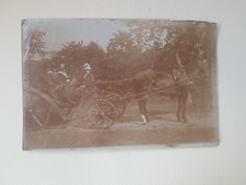 Pferdekutsche Einspänner