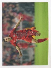 Panini FC Bayern München