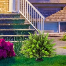 Künstlicher Formschnittbaum