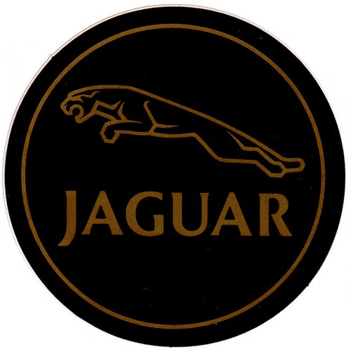 Seltener alter jaguar - seltener,