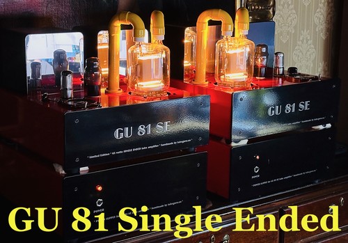 Gu81 single ended tube - ended,