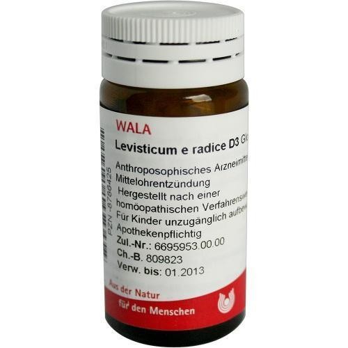 Levisticum radice 3 - levisticum,