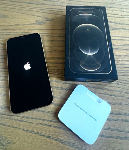 Apple iphone pro - max, 256
