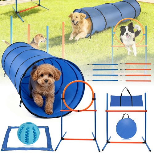Agility set für hunde - hunde, mit