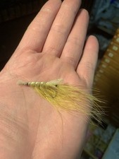 1 St. PATTEGRISEN MEERFORELLE