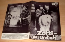 Filmprogramm - Zotti - das