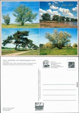 Ansichtskarte Lewitz Naturschutzgebiet - Bäume 2005