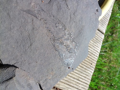 Schieferplatten mit