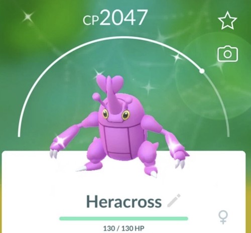 Pokemon shiny heracross - pokemon,