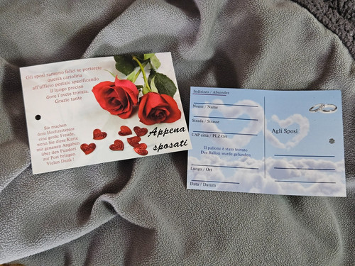 50x ballonflugkarten hochzeit - 50x,