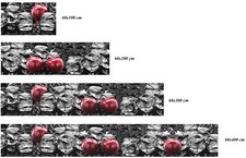 Küchenrückwand Spritzschutz